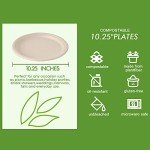 150 Pack Eco-Friendly Compostable Paper Plates
