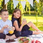 150 Pack Eco-Friendly Compostable Paper Plates