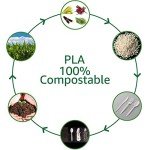 BIOCEAN 100% Compostable Eco-Friendly Cutlery Set