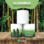 100% Bamboo Eco-Friendly Toilet Paper - 12 Rolls