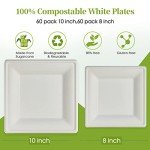 Eco-Friendly Compostable Paper Plates - 120 Pack