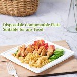 Eco-Friendly Compostable Paper Plates - 120 Pack