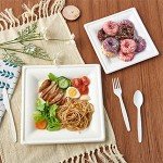 Eco-Friendly Compostable Paper Plates - 120 Pack