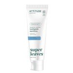 Fluoride-Free Vegan Peppermint Toothpaste, 4.2 Oz