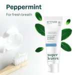 Fluoride-Free Vegan Peppermint Toothpaste, 4.2 Oz