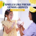 Eco-Friendly Dish Soap Liquid Refills - Lemon Verbena