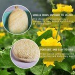 Eco-Friendly Natural Loofah Sponge Scrubber Set