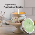 Pure White Sage Candle - Eco-Friendly, Relaxing 6 Oz