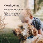 Pure White Sage Candle - Eco-Friendly, Relaxing 6 Oz