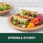 Dixie EcoSmart 100% Recycled Paper Plates, 50 Count