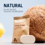 Eucalyptus Foaming Hand Soap Tablet Refills - 12 Pack