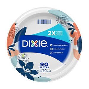 Eco-Friendly Disposable Paper Plates, 90 Count