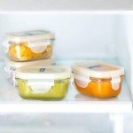 Eco-Friendly 9-Piece Baby Food Storage Set