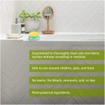 Eco-Friendly All-Natural Multipurpose Cleaner Set