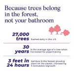 Eco-Friendly Bamboo Toilet Paper – 24 Rolls