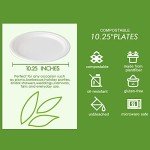 150 Pack Compostable Sugarcane Paper Plates 10.25”