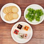 150 Pack Compostable Sugarcane Paper Plates 10.25”