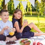 150 Pack Compostable Sugarcane Paper Plates 10.25”