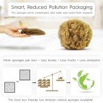 Eco-Friendly Exfoliating Natural Bath Sponge