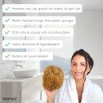 Eco-Friendly Exfoliating Natural Bath Sponge