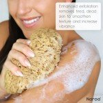 Eco-Friendly Exfoliating Natural Bath Sponge