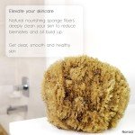 Eco-Friendly Exfoliating Natural Bath Sponge