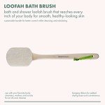 EcoTools Natural Loofah Bath & Back Brush Duo