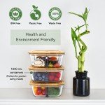 EcoPreps Bamboo-Lid Glass Bento Box Set