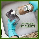 TriNova Organic Dish Soap - Eco-Friendly Cleaner (2 Pack)