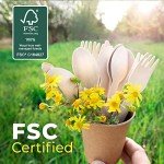 Eco-Friendly Disposable Wooden Cutlery Set - 300 Count
