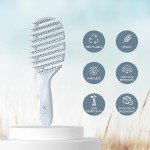 Eco-Friendly Vented Detangling Hair Brush - Blue