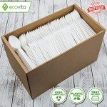 Ecovita 100% Compostable Large Spoons - 500 Count