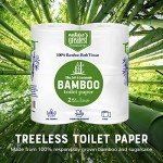 Eco-Friendly Tree-Free 2-Ply Toilet Paper, 4 Rolls