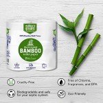 Eco-Friendly Tree-Free 2-Ply Toilet Paper, 4 Rolls