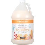 Eco-Friendly Coco Mango Liquid Hand Soap Refill