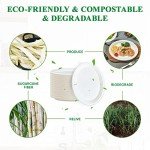 Compostable 12-Inch Oval Paper Plates - 125 Pack