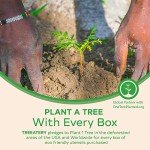 Eco-Friendly Compostable Cutlery Set - 380 Pieces