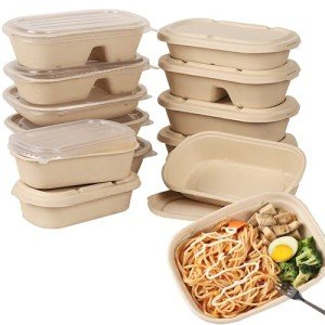 50 Eco-Friendly Disposable Food Storage Containers