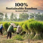 Organic Bamboo Toilet Paper - 12 Jumbo Rolls