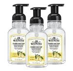 J.R. Watkins Natural Lemon Foaming Hand Soap Set