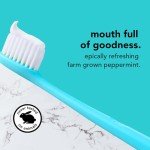 Fluoride-Free Antiplaque Toothpaste with Tea Tree Oil