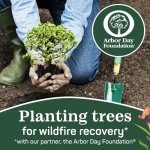 Eco-Friendly 100% Recycled Toilet Paper, 6 Rolls