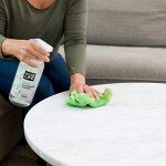 Natural All-Purpose Cleaner - Kid & Pet Safe