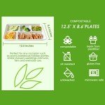 Compostable 5-Compartment Paper Plates, 100 Pack