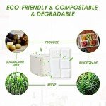 Compostable 5-Compartment Paper Plates, 100 Pack