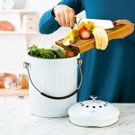 Eco-Friendly Kitchen Compost Bin with Dual Filters