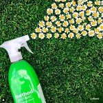 Eco-Friendly Antibacterial Cleaner Spray with Bamboo