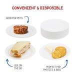 Eco-Friendly Uncoated White Paper Plates - 100 Pack