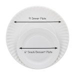 Eco-Friendly Uncoated White Paper Plates - 100 Pack