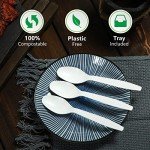 Compostable Spoons - 100 Pack Biodegradable Utensils